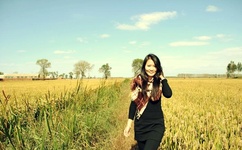 mv免费下载网站